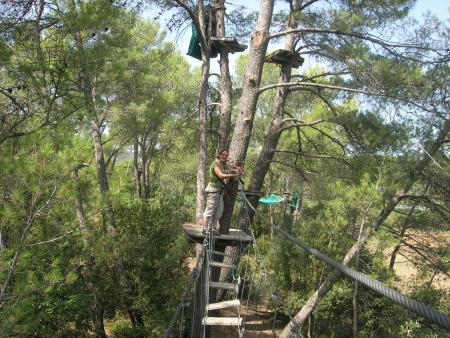 accrobranche